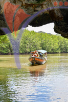 Kilim River Mangrove Tour, Langkawi, Kedah