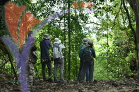 Fraser's Hill International Bird Race