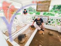 Makam Tok Kenali