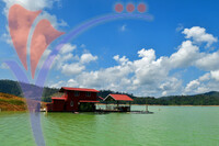 Tasik Pedu