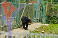 Afarmosa Resort Safari Melaka