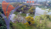Taman Tasik Taiping, Perak