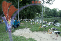 Zoo Negara