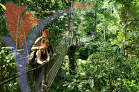 Mulu Canopy Walk, Sarawak