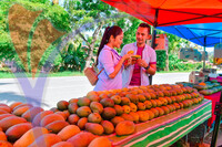 Harum Manis , Perlis