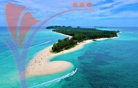Drone View