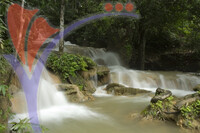 Bukit Ayer Recreational Park - Perlis