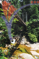 Hutan Lipur