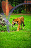 Lost World of Tambun
