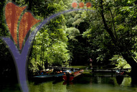 Eco & Agro Tourism - Mulu National Park Sarawak
