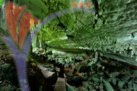 Niah Cave - Sarawak