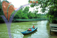 Similajau National Park - Sarawak