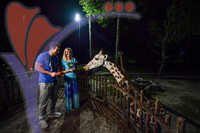 Night Safari Zoo Taiping , Perak