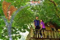 Tasik Pedu