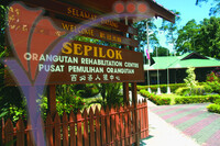 Sepilok