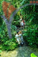 Kuala Lumpur Butterfly Park
