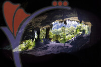 Mulu National Park, Sarawak