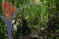 Danum Valley