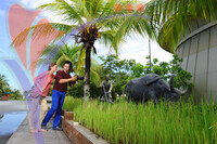Muzium Padi