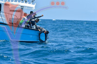 The Royal Pahang Billfish International Challenge