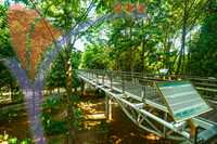 Taman Botani (botanical Garden) - Putrajaya