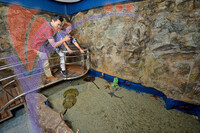 Marine Museum