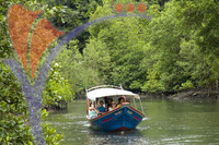 Klim River - Langkawi