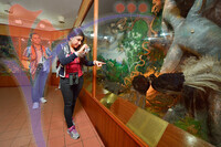 Kinabalu Park