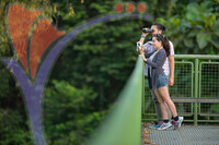 Rainforest Discovery Centre