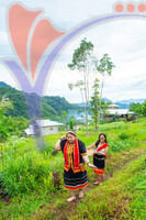 Bidayuh Girls