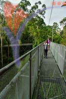 Sungai Sedim - Kedah