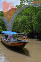 Kilim River Mangrove Tour, Langkawi, Kedah