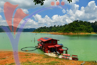 Tasik Pedu