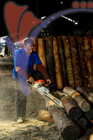 Charcoal Factory