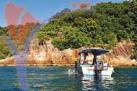 Kapas Island