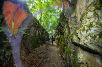 Paku Rock Maze Garden