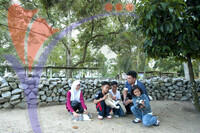 Rabbit Farm