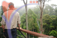 Danum Valley