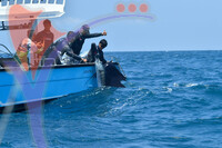 The Royal Pahang Billfish International Challenge