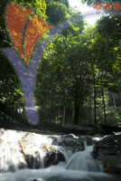 Sungai Tekala Recreational Forest