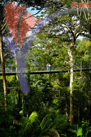 The Habitat