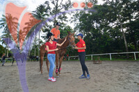 As Equestrian