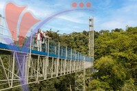Forest Skywalk