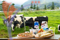 Sabah Dairy Farm, Kundasang, Sabah