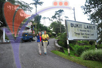 Bukit Larut - Taiping - Perak