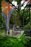 The Habitat