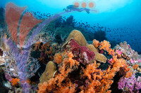 Sipadan 7