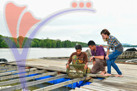 Oyster Farm