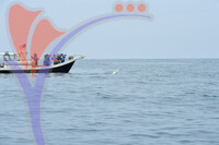 The Royal Pahang Billfish International Challenge