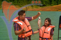 Tasik Pedu